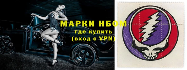прущие грибы Балахна