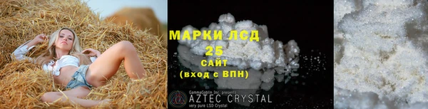 прущие грибы Балахна