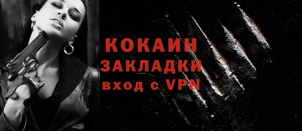 прущие грибы Балахна