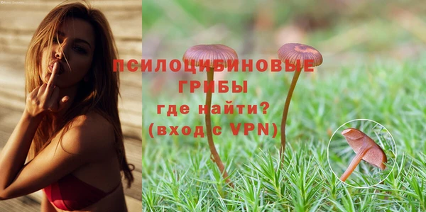 прущие грибы Балахна