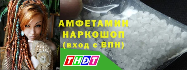прущие грибы Балахна