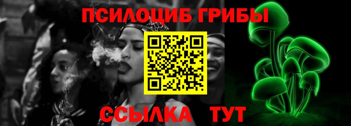 Галлюциногенные грибы Psilocybine cubensis Белогорск