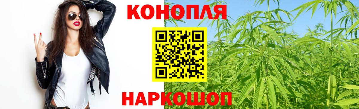 Конопля гибрид Белогорск